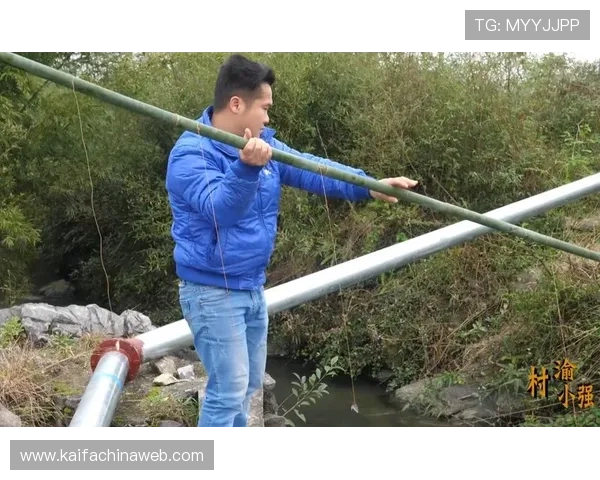 详细介绍K8捕鱼图的玩法策略与常见陷阱，帮助玩家避免失误提升胜率